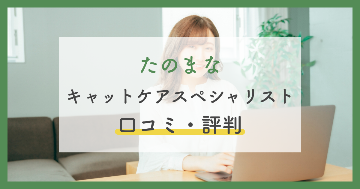 キャットケアスペシャリスト講座の口コミ評判は？難易度や合格率・独学 ...