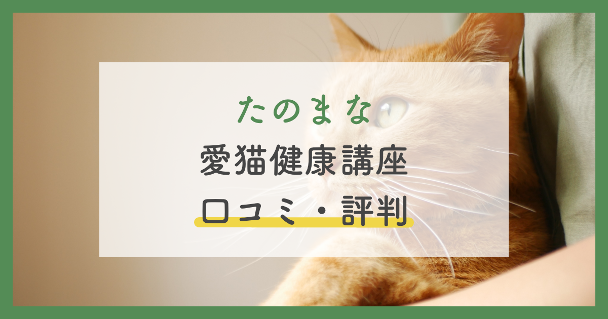 たのまな愛猫健康講座の口コミ評判は？合格率・仕事内容・勉強方法まで 