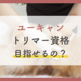 トリマー資格はユーキャンにないの？2022年おすすめのペット通信講座を詳しく紹介【理由あり】