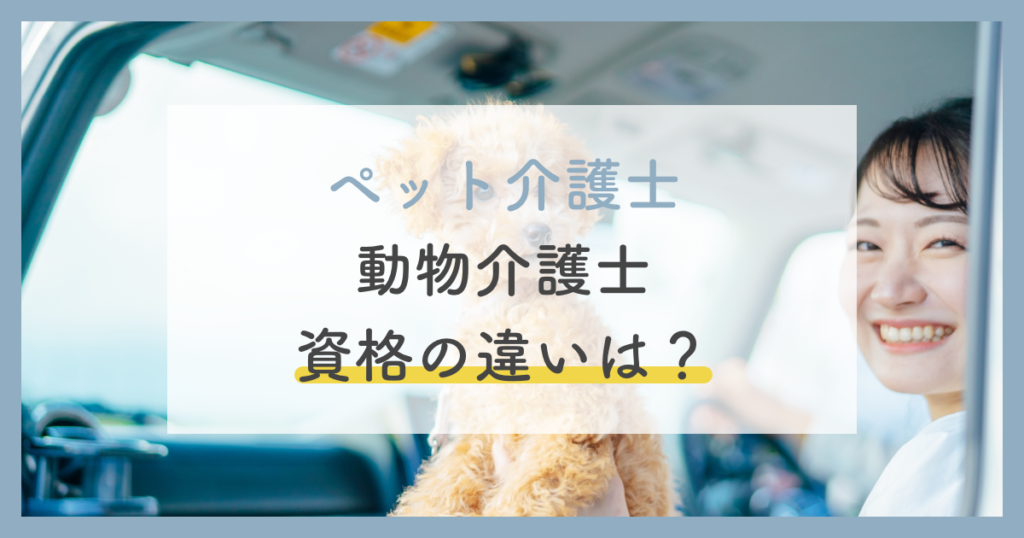 iPhone-12、12-Pro-–-30-