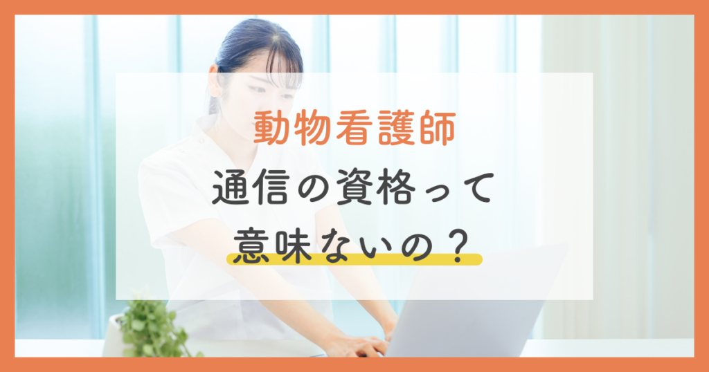 動物看護師の通信講座は意味ないの？5つの理由と国家資格との違いを徹底解説 | ペットのケアナビ