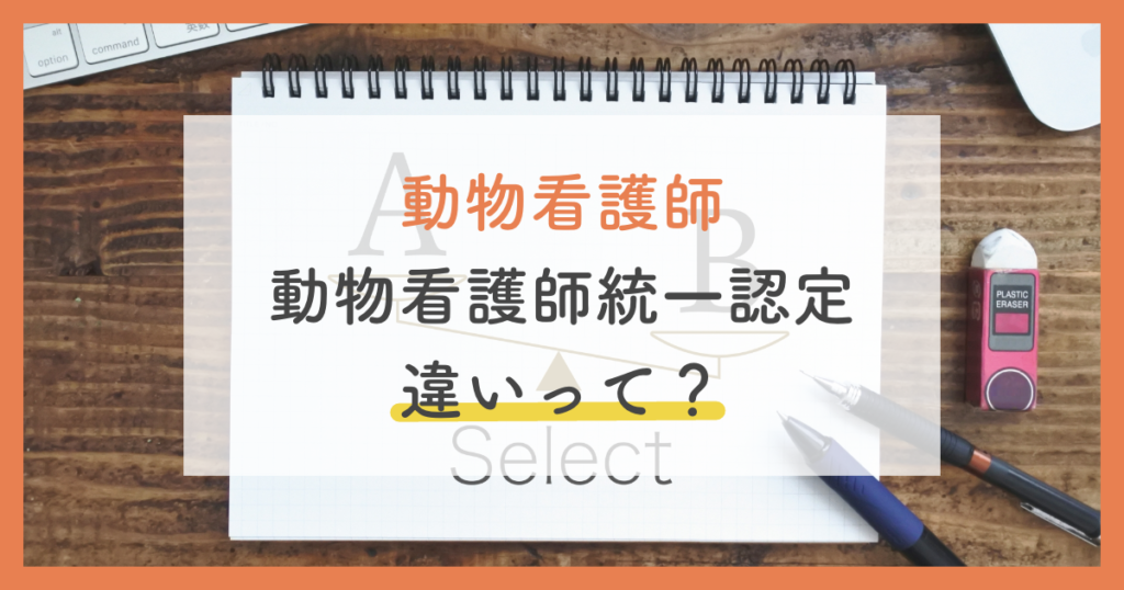 認定動物看護師と動物看護師の違いは？独学と通信講座のおすすめを徹底解説 | ペットのケアナビ