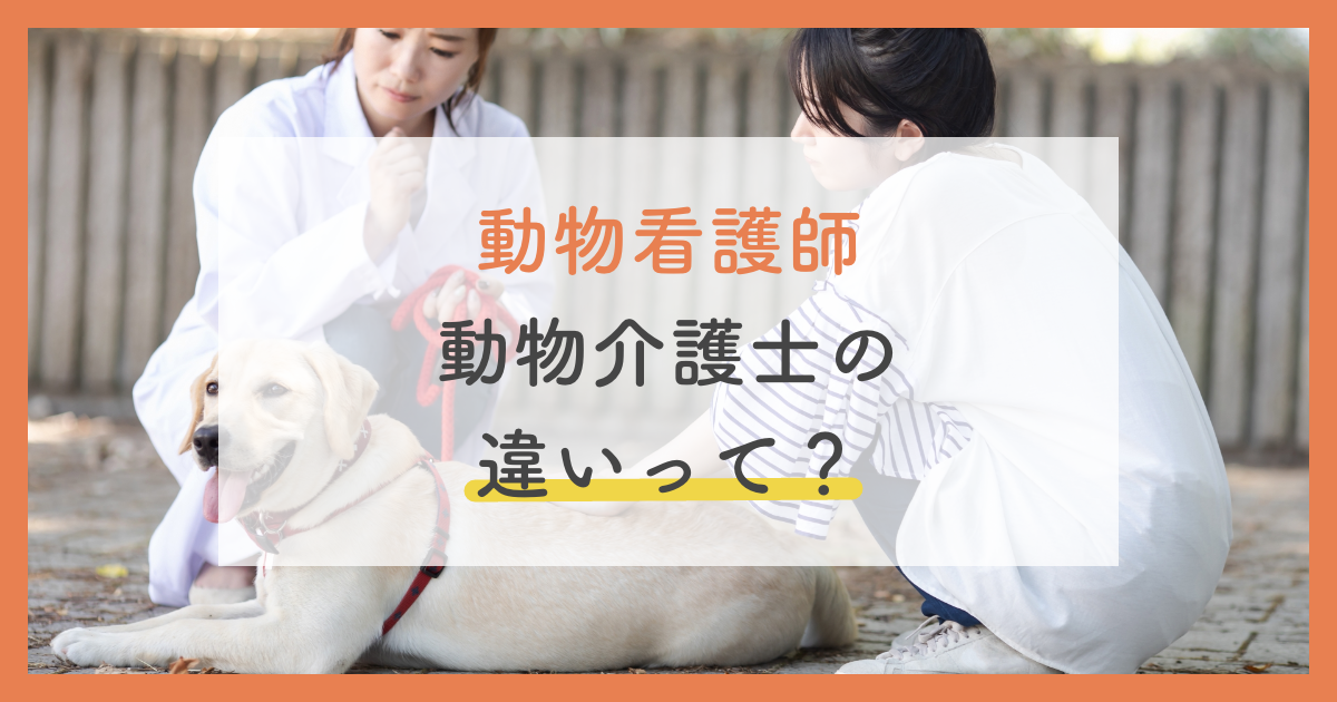 動物看護師と動物介護士の違いは？仕事内容・勉強方法・向いている人で徹底比較 | ペットのケアナビ